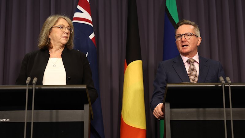 Government will consider mandates for green fuel in cars