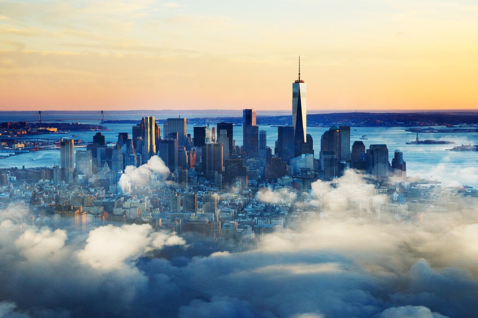 Biology And Our Biological World: Smart Cities Will Grow