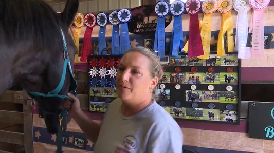 Draft Horse Barn draws in big crowds at the State Fair of West Virginia