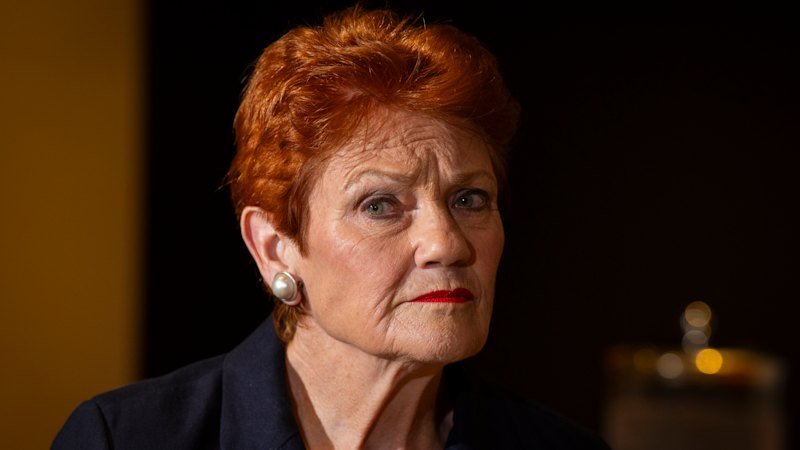 One Nation lodges three years of overdue financial documents after warning