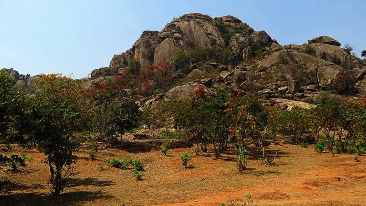Oldest evidence of life on Earth has been discovered in India in a 3.4 billion-year-old layered rock shows signs of microbial life