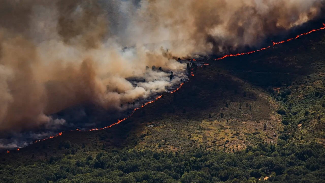 Spain invokes first wildfire emergency as fires rage across Europe; over 10,000 evacuated