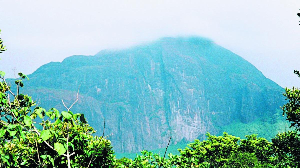 Tamil Nadu’s encroachment problem in Agasthyamalai