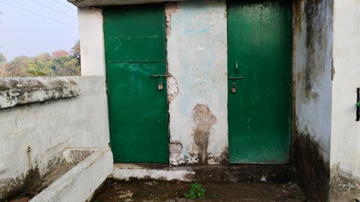 Toilet travails