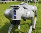 Sheep-herding robot dogs put to the test at Royal Queensland Show – video