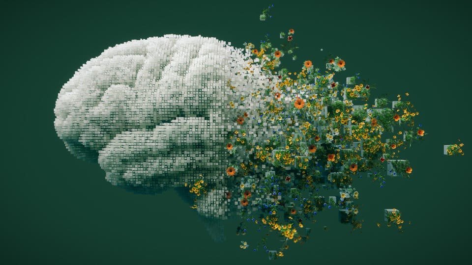 Intelligence Is A Systems Problem—And Always Has Been