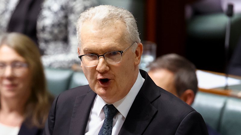 Economic implications played role in Labor’s migration policy delay