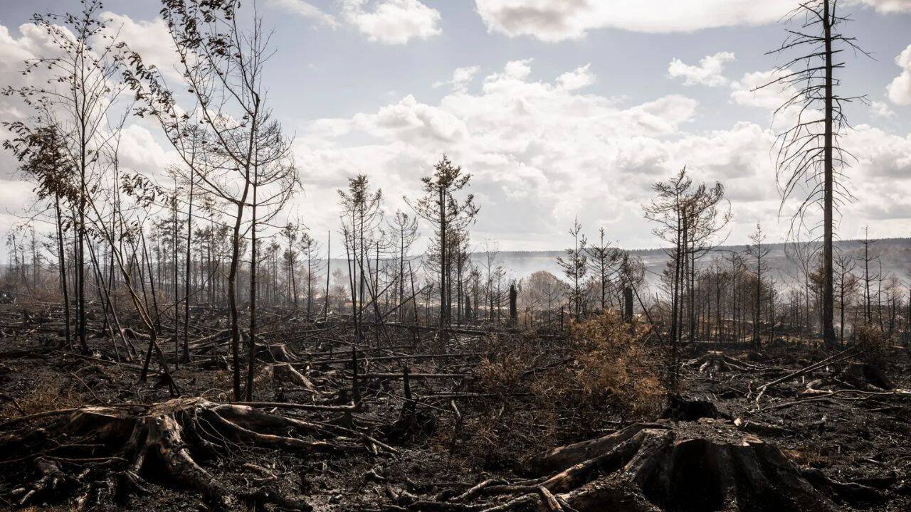 European wildfires expose hidden threat of buried WWI, WWII bombs and mines