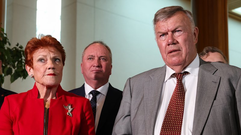 Hanson tries to clarify immigration policy after MP’s surprise concession