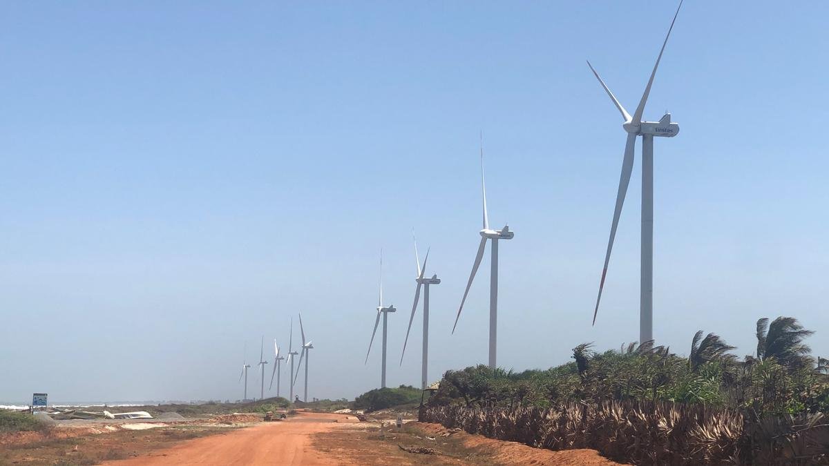 Amid Sri Lanka’s green energy push, communities in Mannar fear environmental fallout