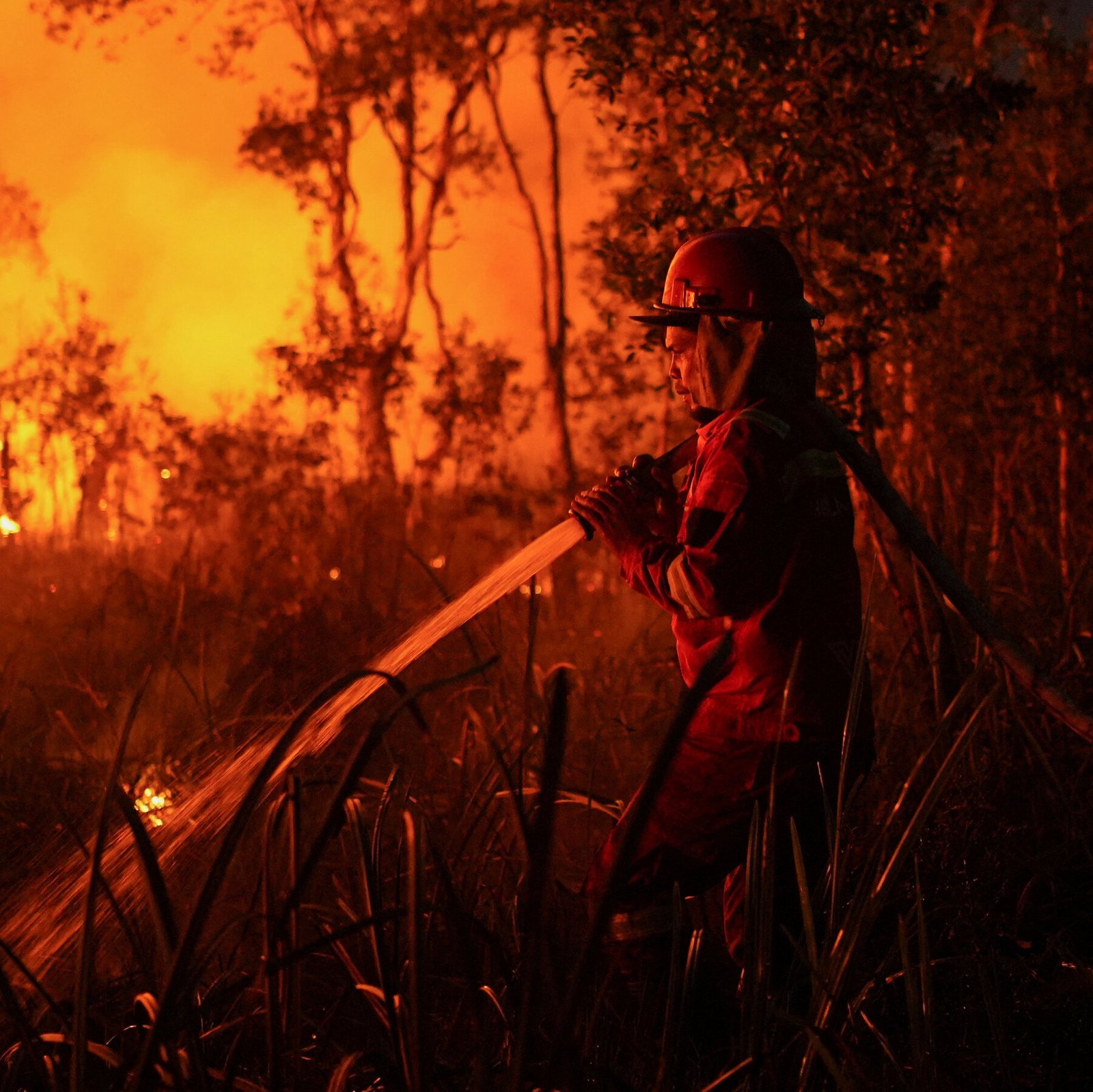 As El Niño Dries Indonesia, Wildfires Intensify