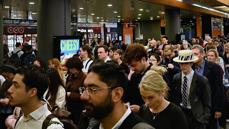 Major travel delays in Sydney’s north after train wiring issue