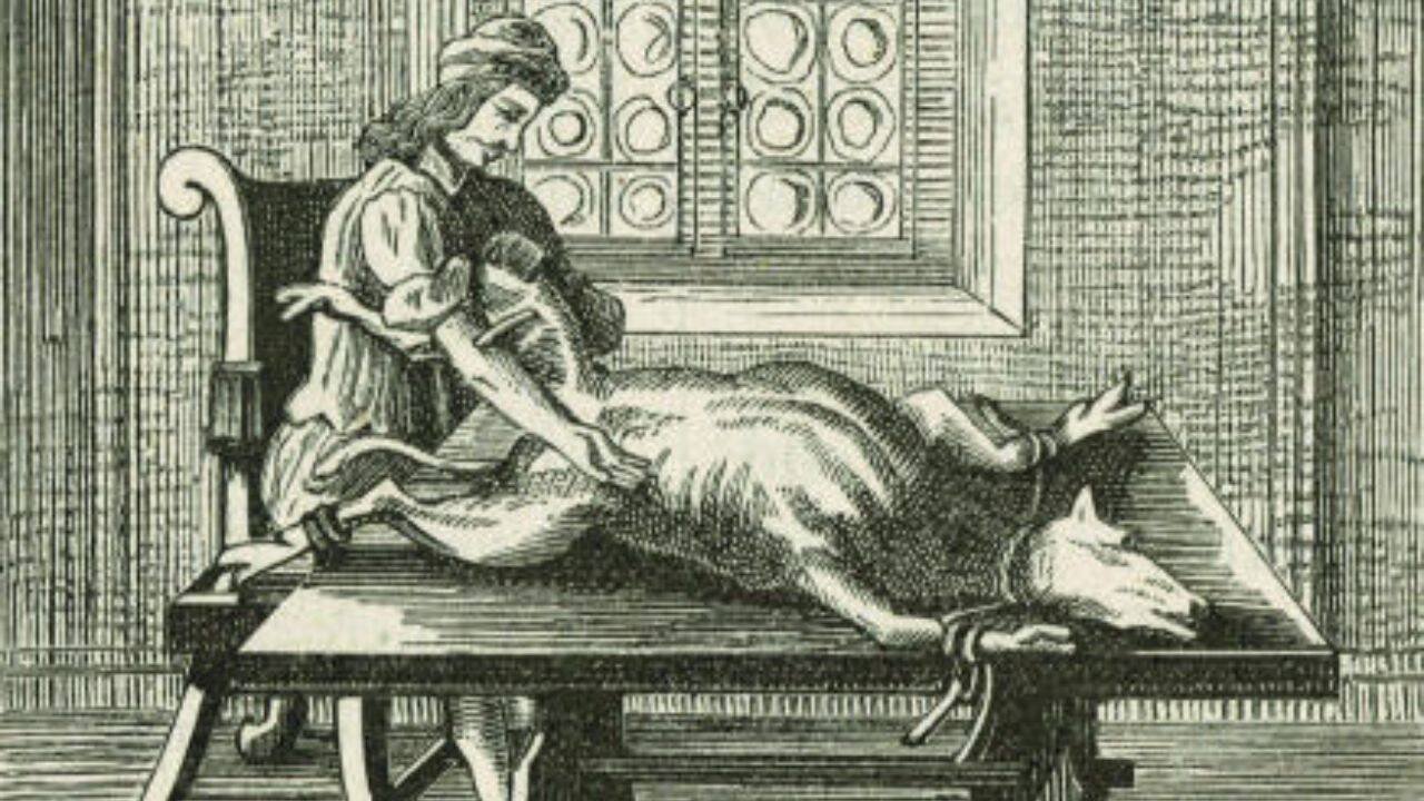 In 1816, a Barbados-born doctor used dogs and cats to test blood transfusion