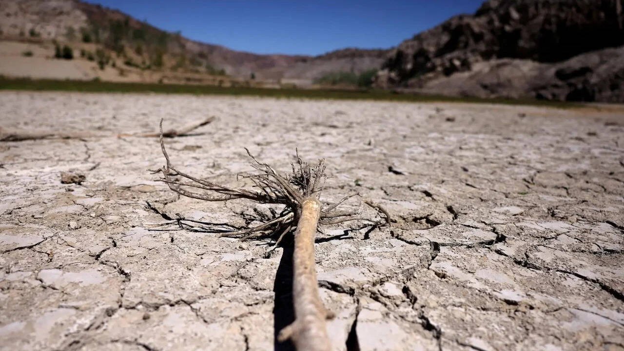 COP17: New global architecture for drought resilience launched at UNCCD meet