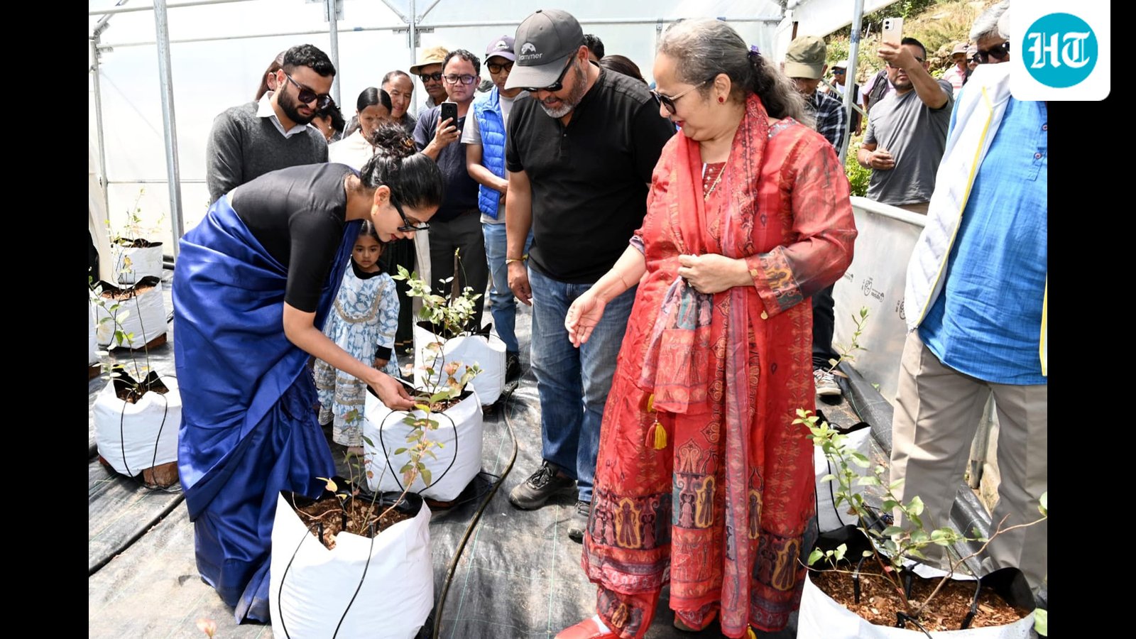 Lahaul’s Blueberry farming trial tastes success, paves way for new cash crop