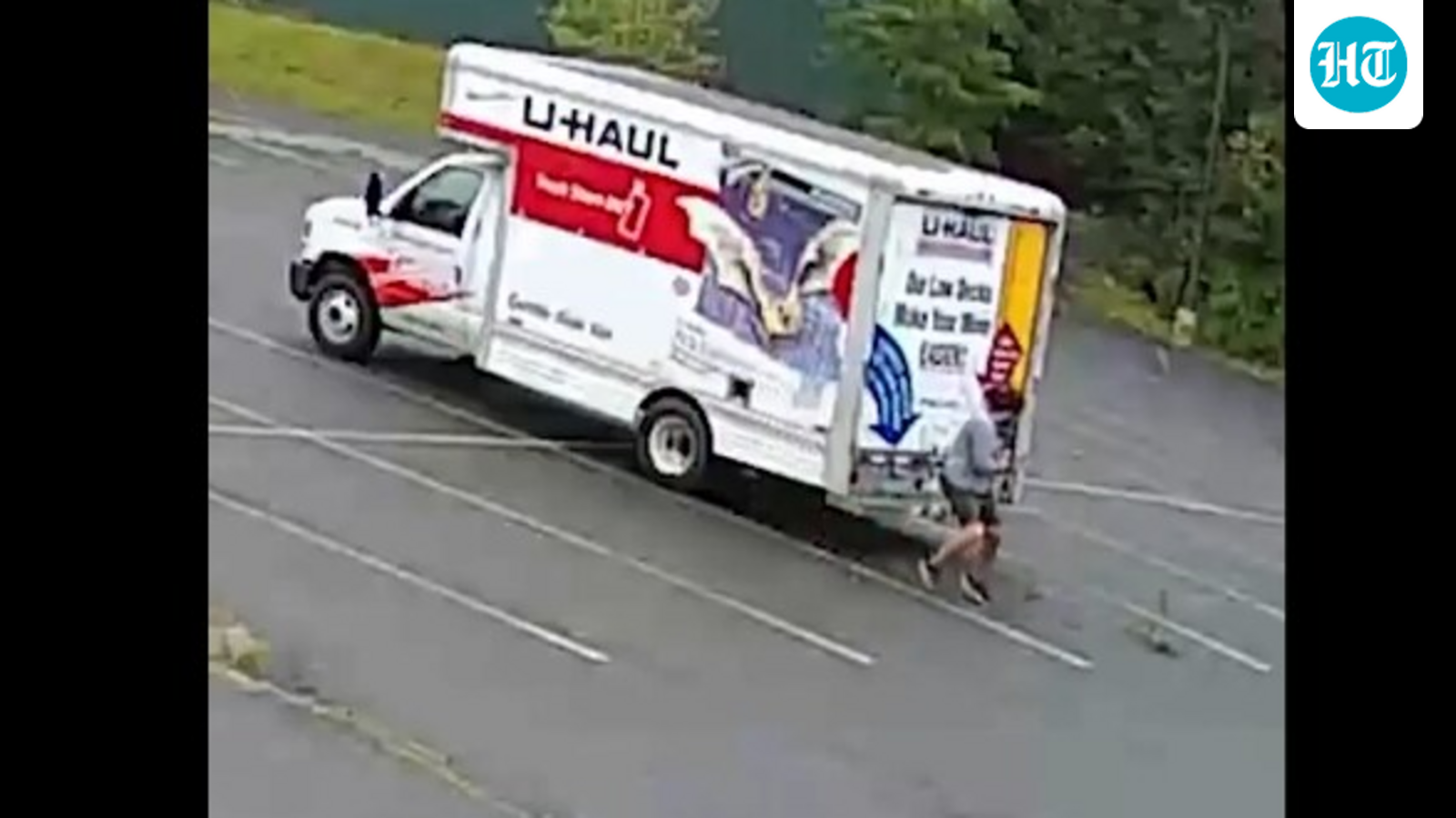 Mystery animal terrorizes New Hampshire neighborhood, attacks 3 people in 2 days; watch scary video