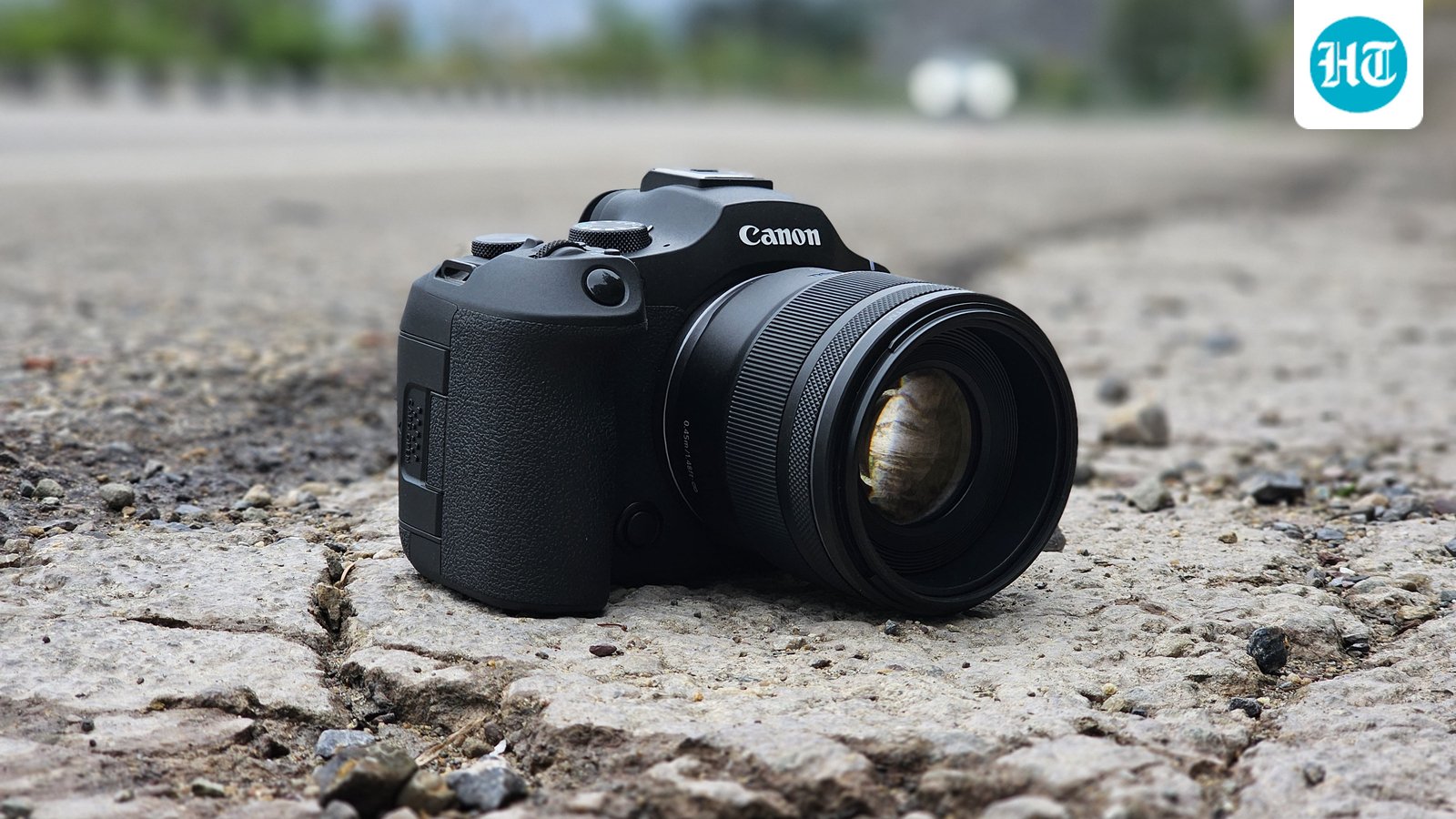 Want to capture wildlife in motion? These cameras make tracking birds and animals easier