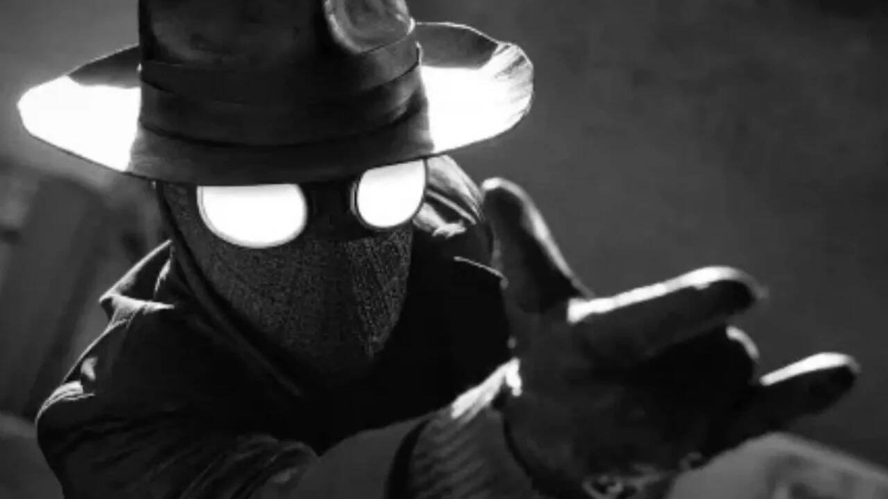 The ‘Spider-Noir’ series stands cancelled after one season