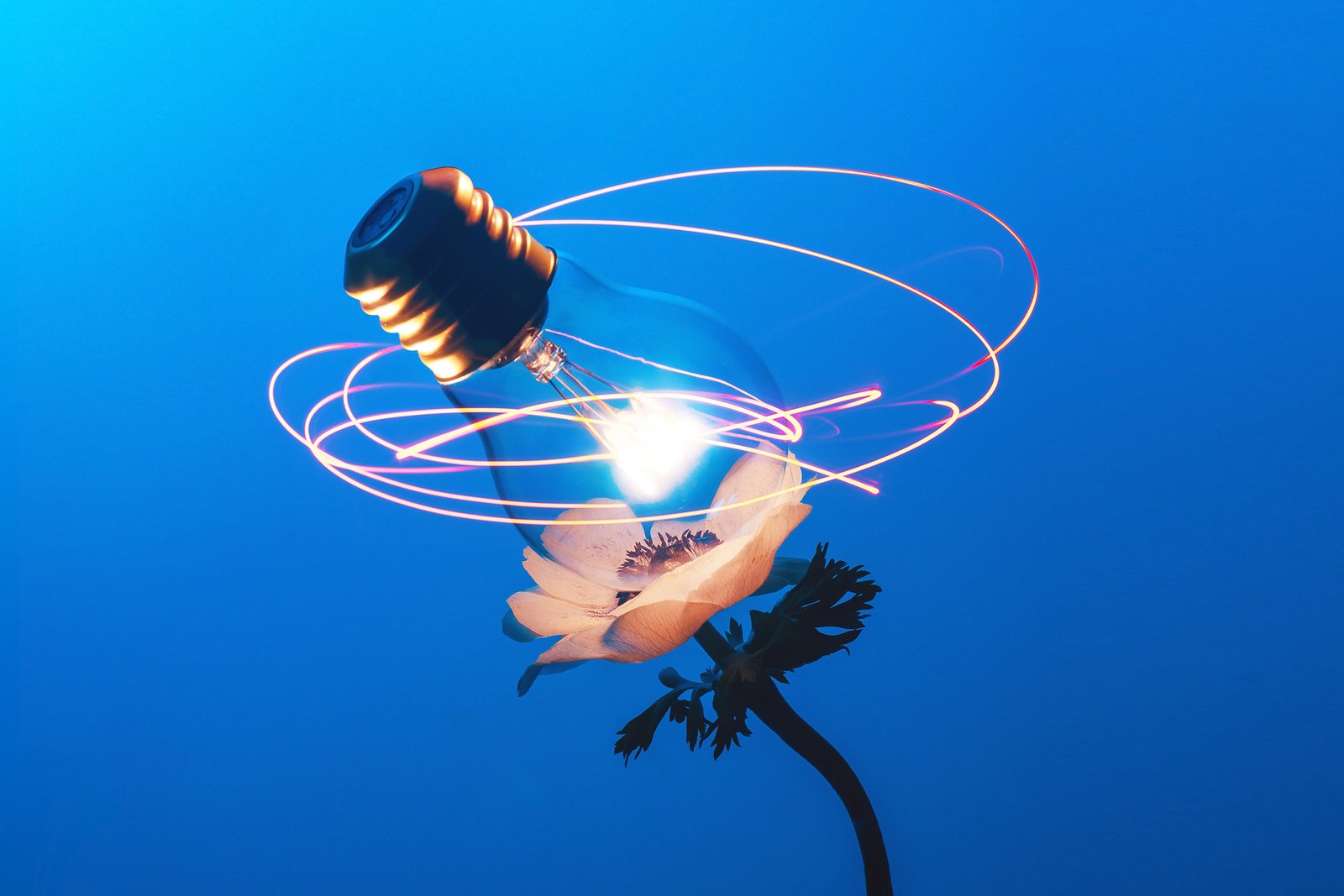 Why Innovation Now Depends on Resilience, Not Just Speed