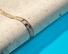 ‘Sisyphus would be proud’: Queensland tribunal orders repairs to pool that doesn’t exist