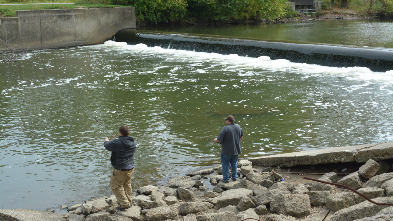 After Brecksville Dam was removed, free-flowing habitat linked to Lake Erie more than doubled to 71 km