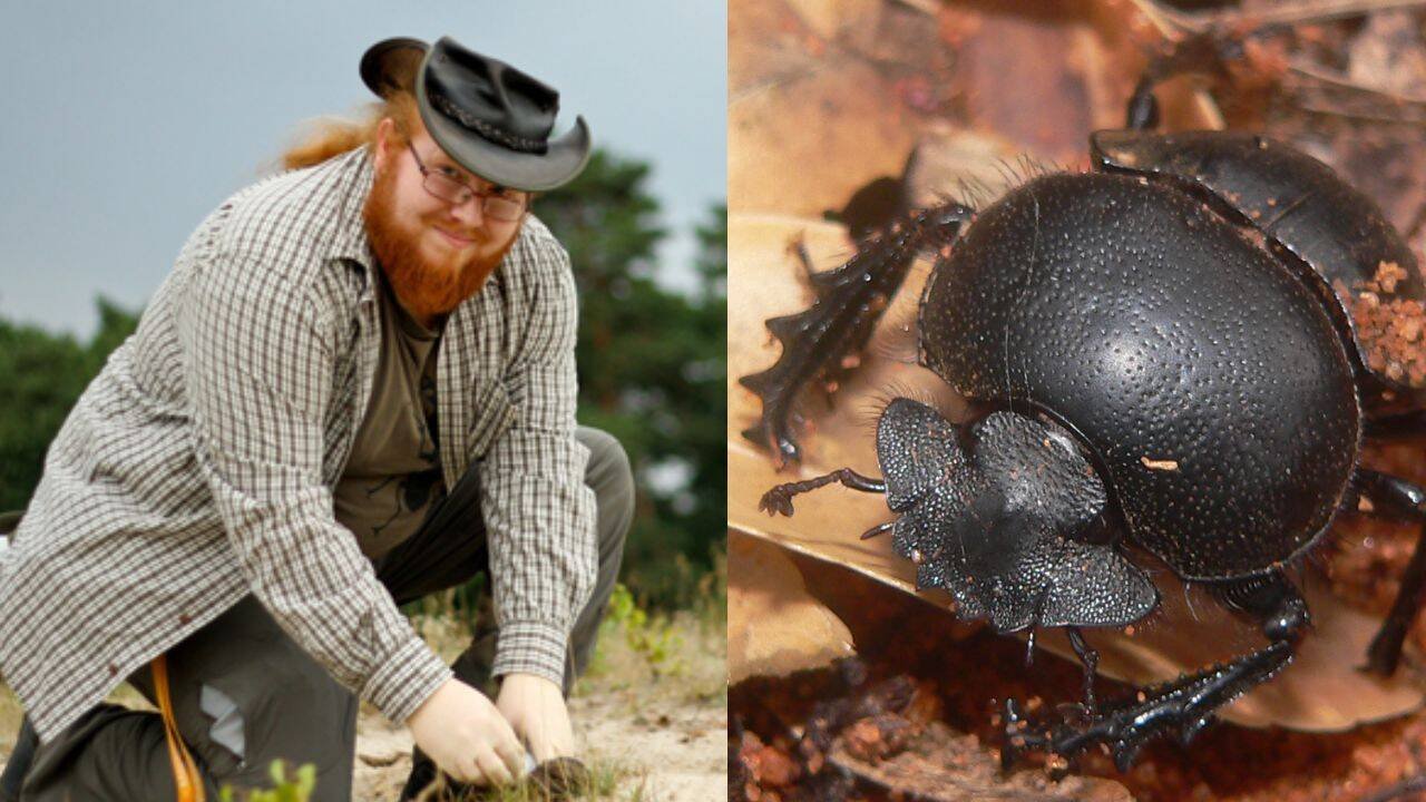 Meet Patrick Urban: The German dung beetle specialist who found a new species