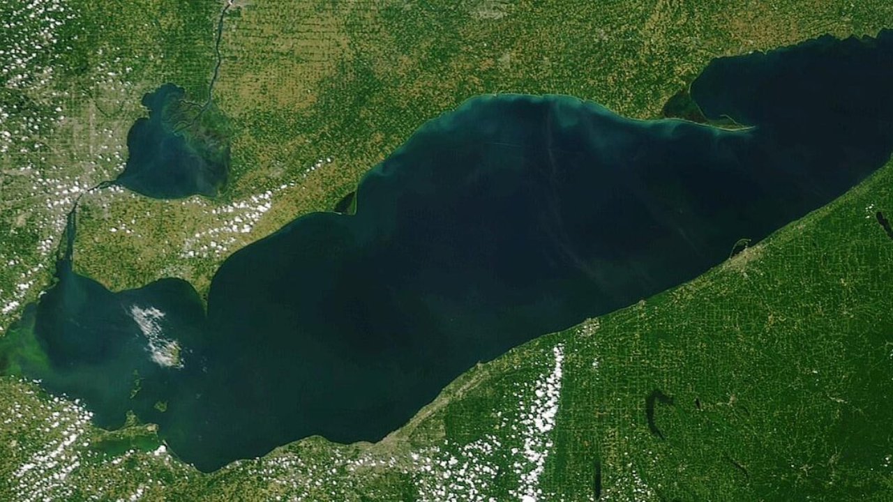 After a 25-acre Lake Erie wetland was reconnected, sonar recorded 3.44 million fish detections