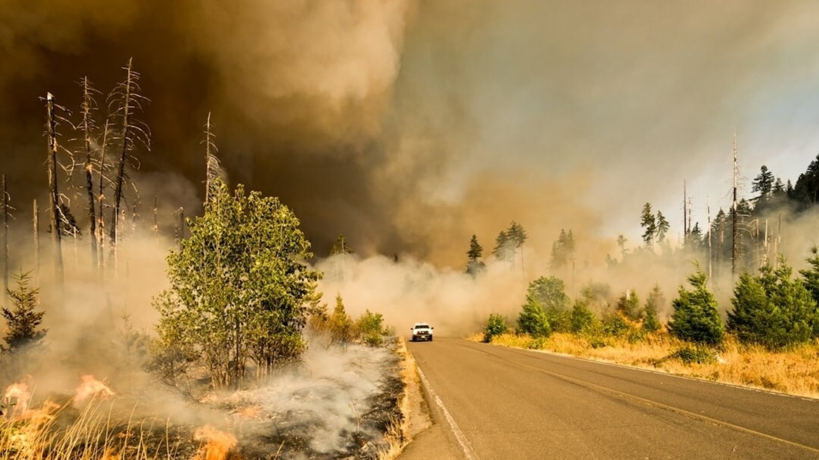 Payson Fire: Map, evacuation updates as wildfire burns near Elk Ridge, Utah; videos emerge