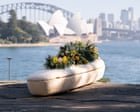 Woman laid to rest in coffin made from mushrooms in Australian first