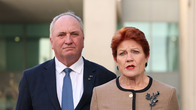 Hanson insists super access policy would be inflation neutral