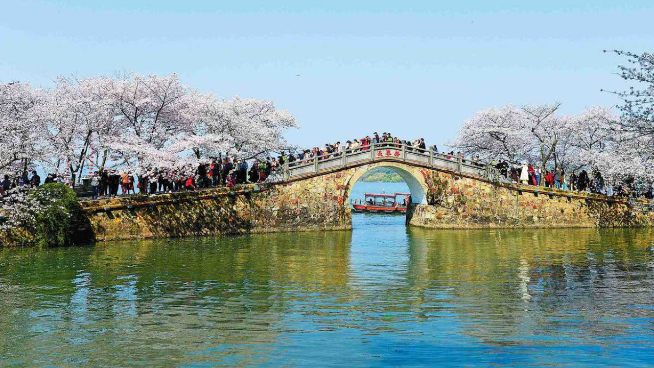 China's Taihu Lake nanobubble test sees cyanobacteria measure fall nearly 90%