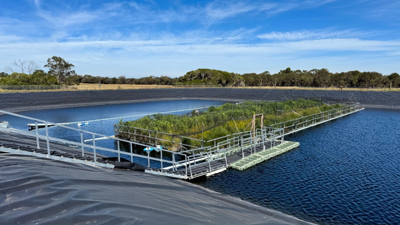 In 2023, Australia put a 330-square-metre floating wetland on a wastewater lagoon