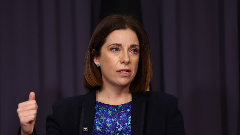 Australia news LIVE: Labor’s Digital Duty of Care bill to force tech platforms to remove harmful content, opt-out algorithms; Joyce struggles to explain One Nation’s superannuation proposal