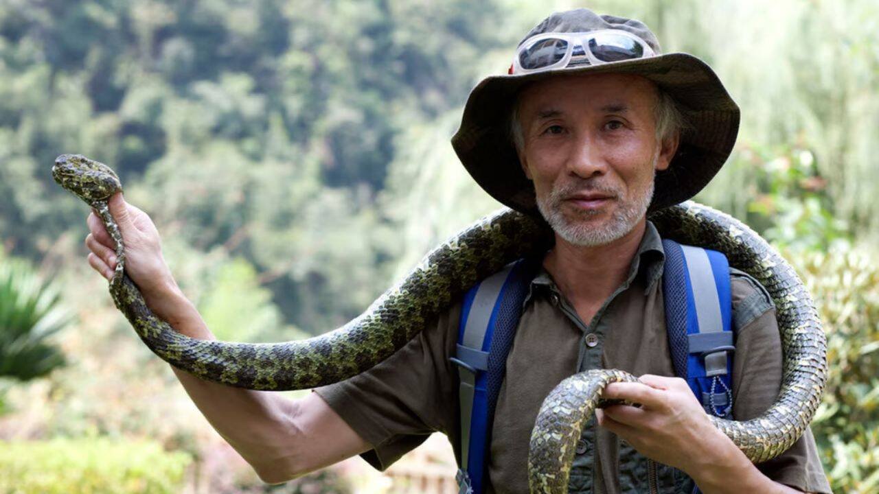 China’s ‘Snake Doctor’ survives 9 bites, a divorce threat and finger loss to save rare viper