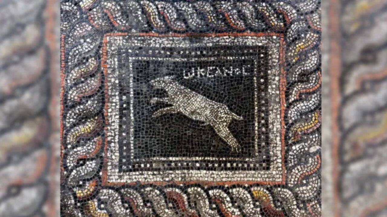 1,800 years ago, a Roman household decorated floor with cat and dog; archaeologists uncover mosaic