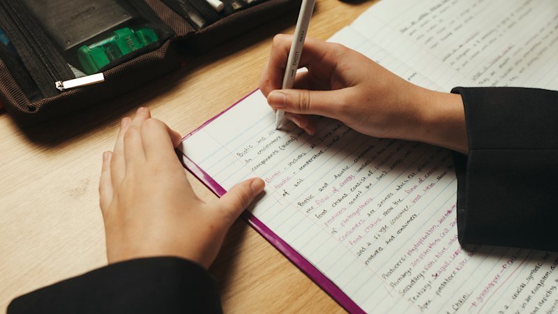 School students need AI guardrails rather than a digital detox