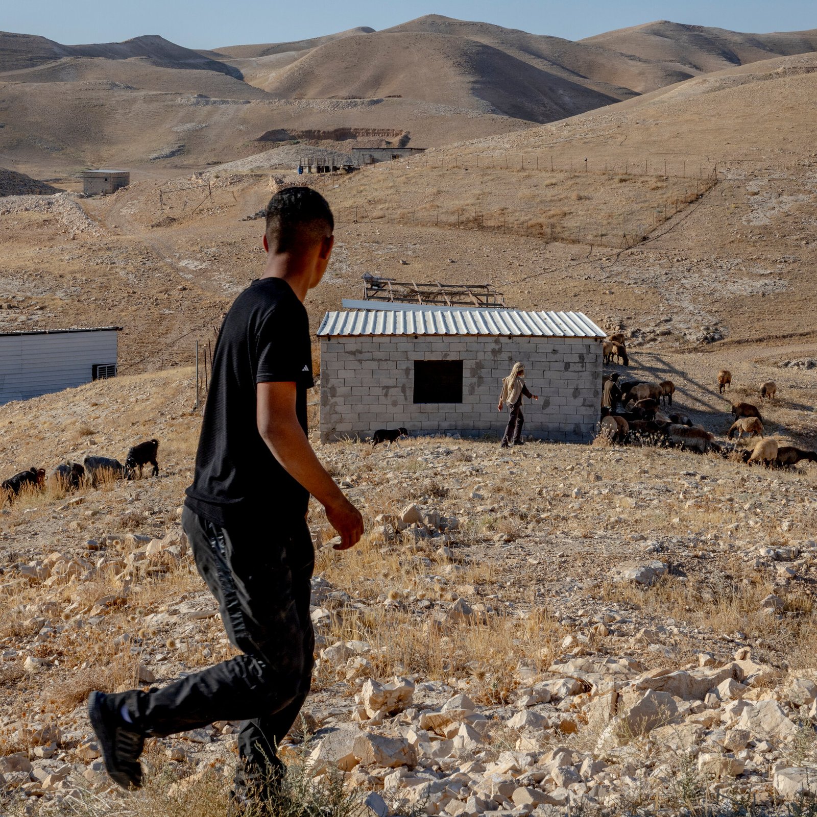 Impunity in the West Bank