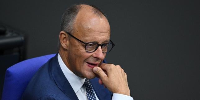 Germany's Merz accuses AfD of promoting 'ethnic cleansing'