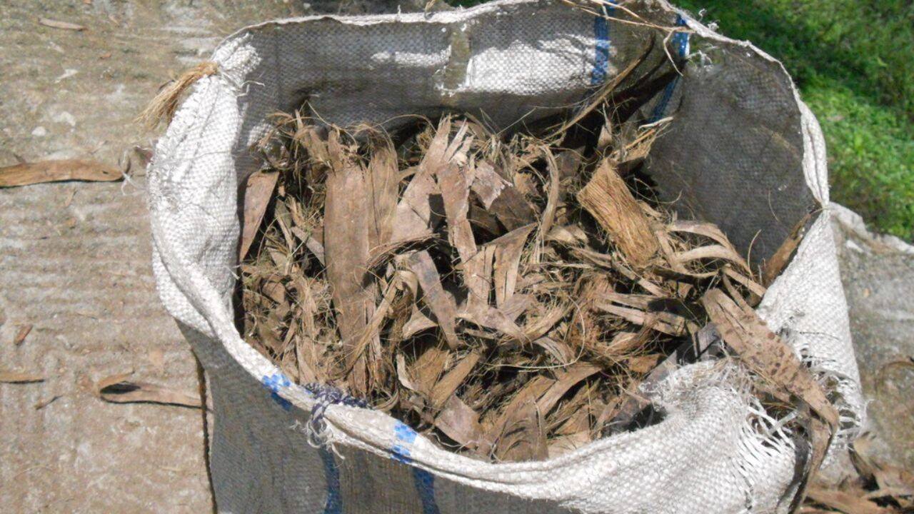 Scientists turned coconut waste into a water-cleaning material