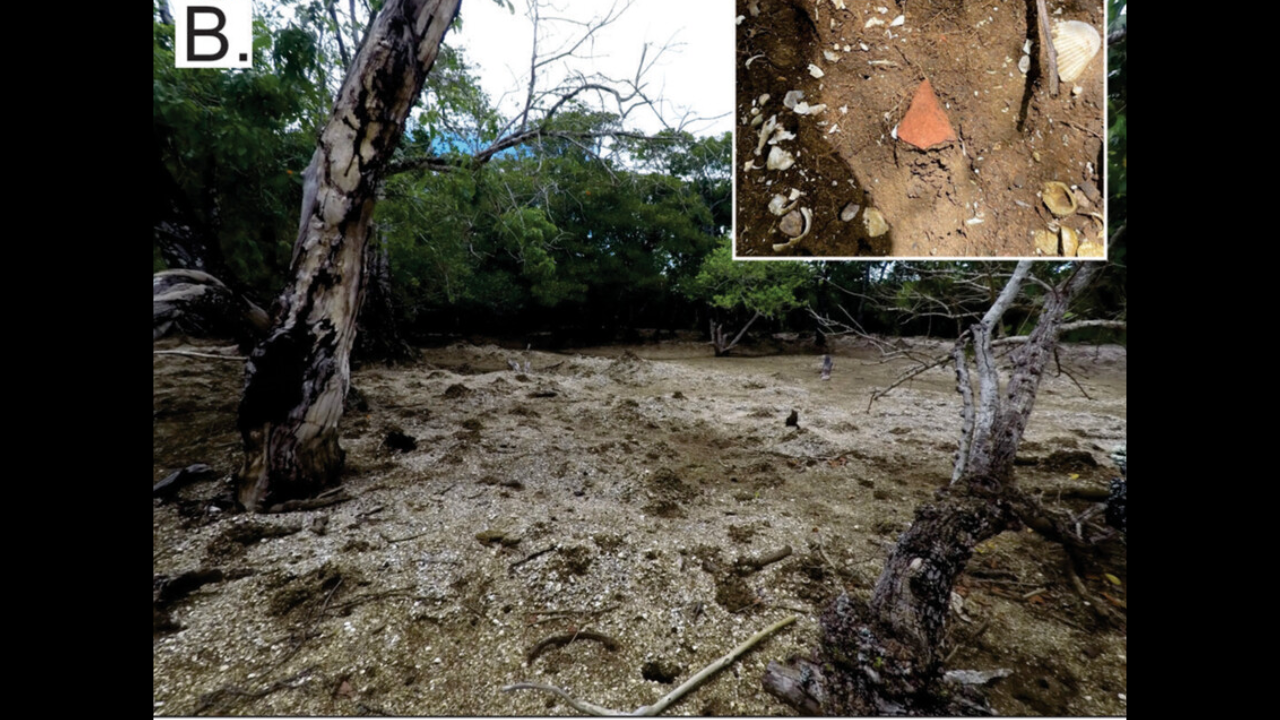 Archaeologists found a 1,200-year-old shell island in Fiji, possibly formed from food waste