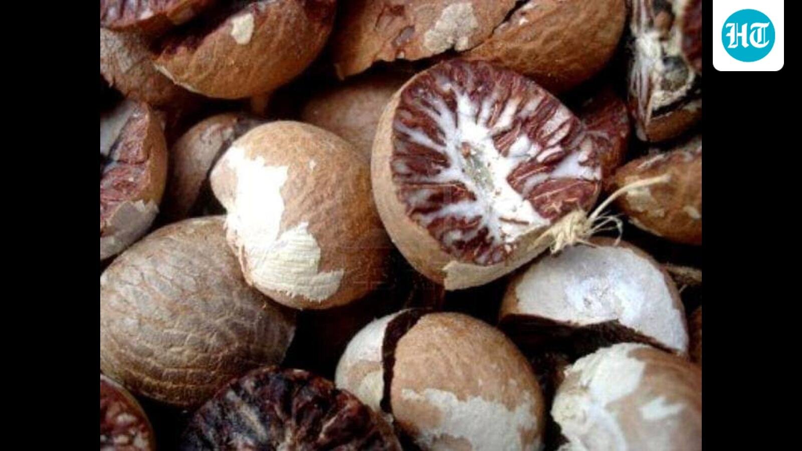 Plant-based therapy: Cardamom mixture shows promise against deadly mouth stiffness