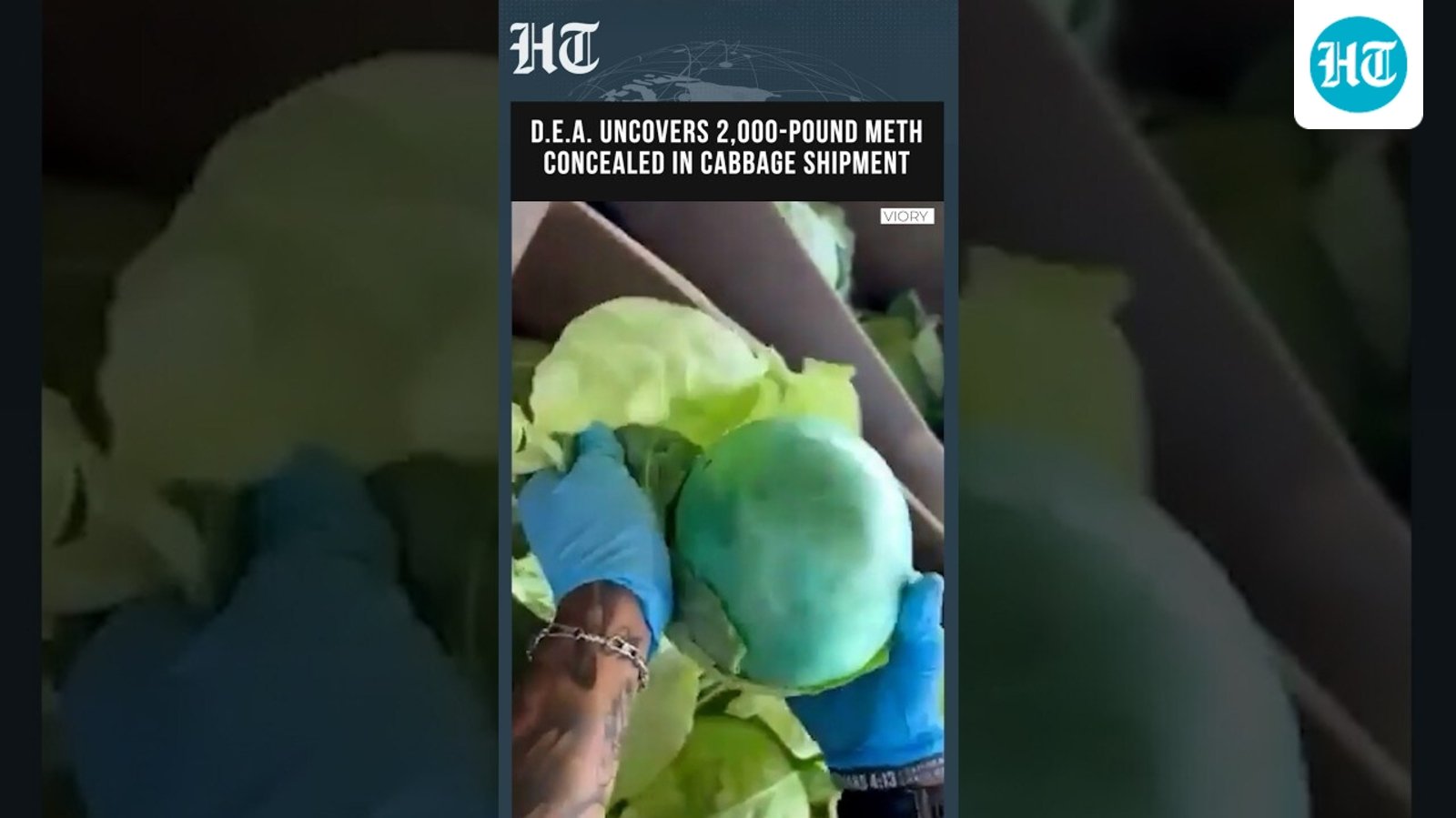 DEA Uncovers 2,000-Pound Meth Shipment Hidden Inside Cabbage Cargo In Major Drug Bust
