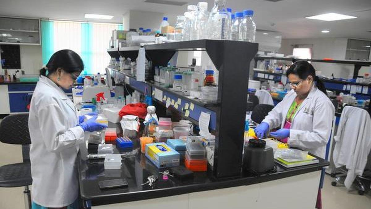 Low funding for postdoc roles fuelling brain drain, govt. funds only 2,500 positions