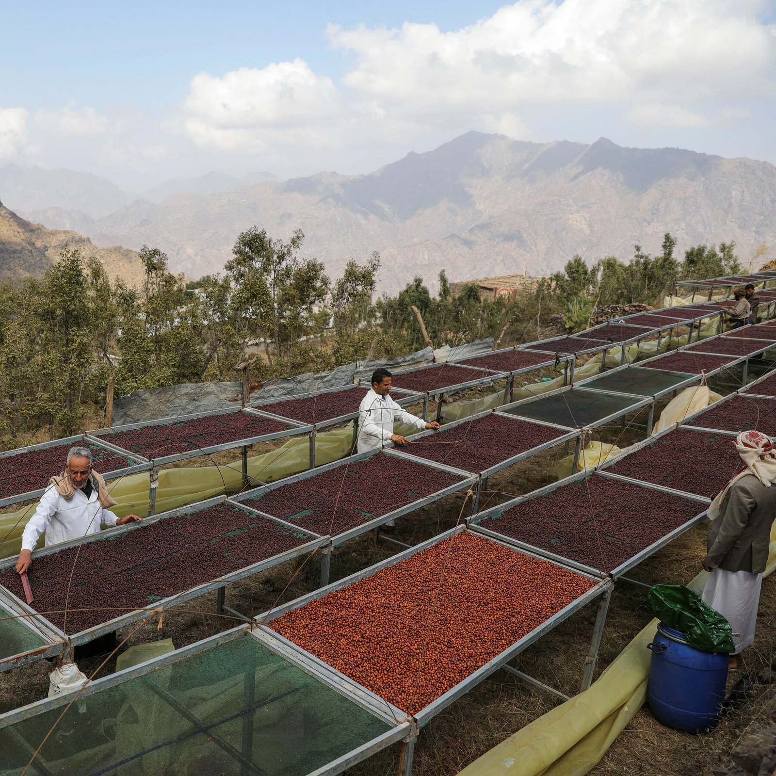 Why Mokha, Historic Port That Shaped the Coffee Trade, Is a Prize in Yemen’s War