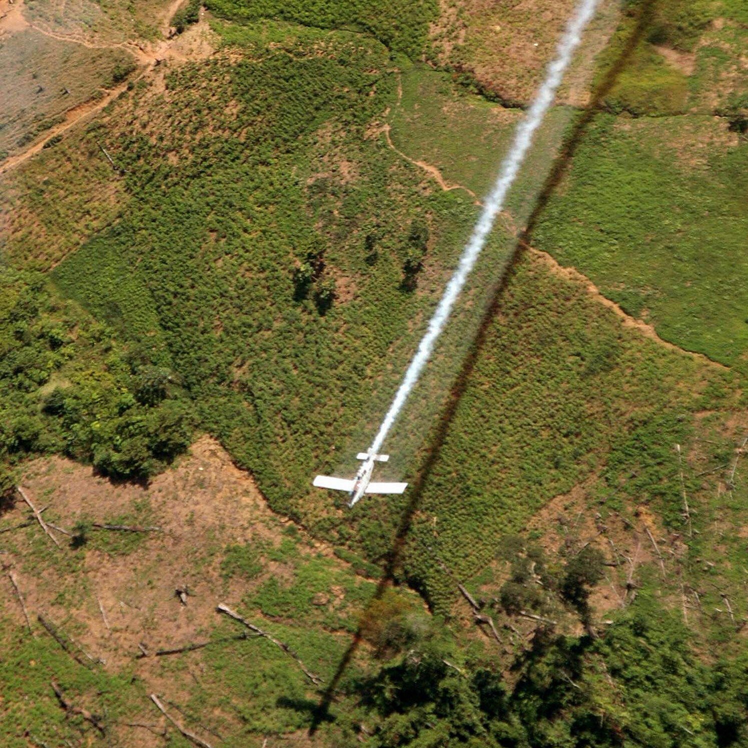 Colombia to Start Aerial Spraying of Coca Crops Despite Health Worries
