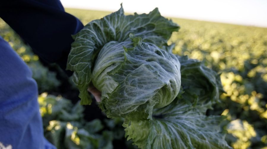 CDC declares cyclospora outbreak over
