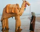 BredaPhoto Festival  – in pictures