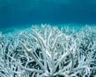Australia and Canada can learn from each other on climate if we separate action from declaration | Rosa Galvez