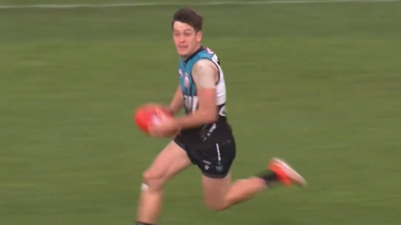 Butters nominates Dogs for $18m deal