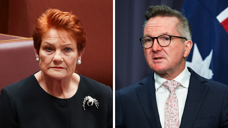 Bowen condemns Hanson as Gina Rinehart’s puppet